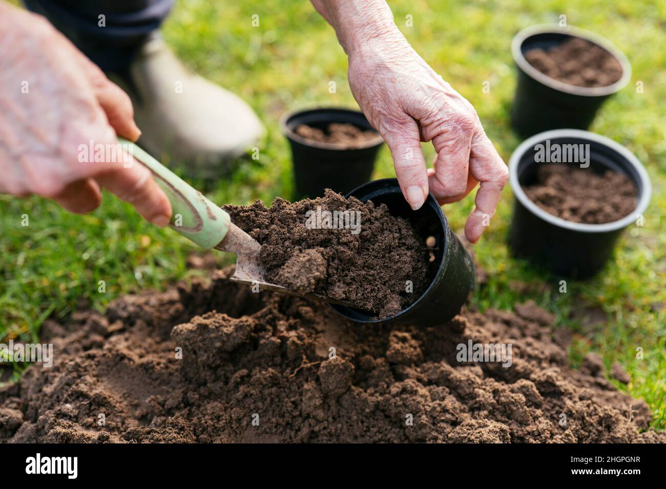 Giardiniere che raccoglie suolo da un molehill. Foto Stock