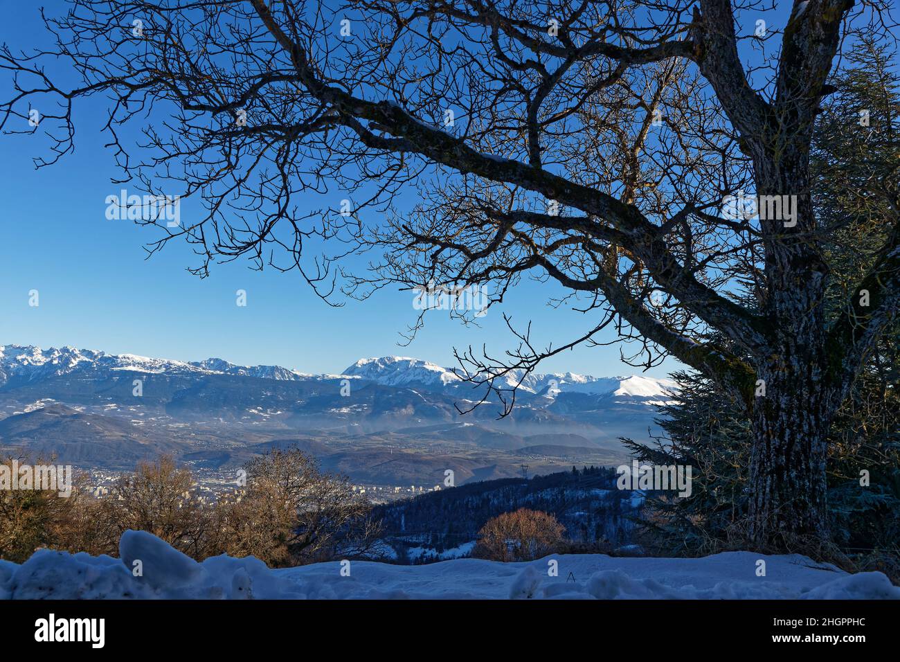 Nevoso Belledonne catena montuosa sullo sfondo di un albero Foto Stock
