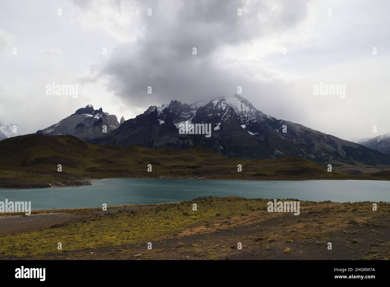 Laguna larga, Parco Nazionale Torres del Paine, Cile Foto Stock