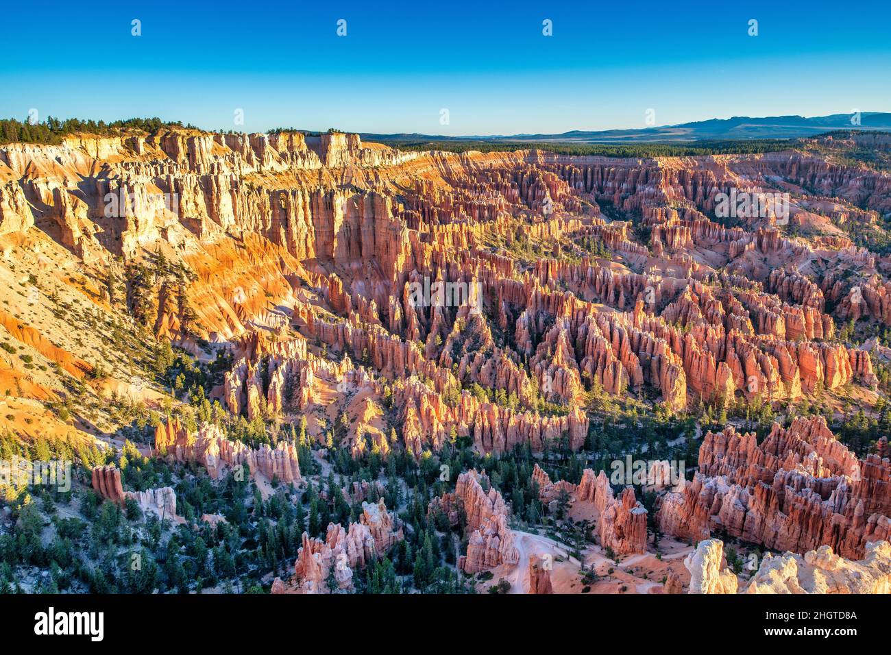 Vista aerea del Bryce Canyon all'alba estiva. Si affacciano su formazioni rocciose rosse di hoodoos colorati di arancio nel Bryce Canyon National Park, Utah - USA Foto Stock