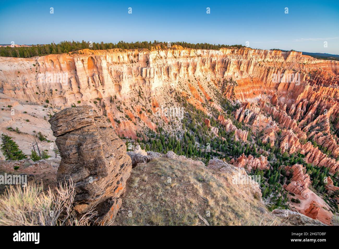 Vista aerea del Bryce Canyon all'alba estiva. Si affacciano su formazioni rocciose rosse di hoodoos colorati di arancio nel Bryce Canyon National Park, Utah - USA Foto Stock