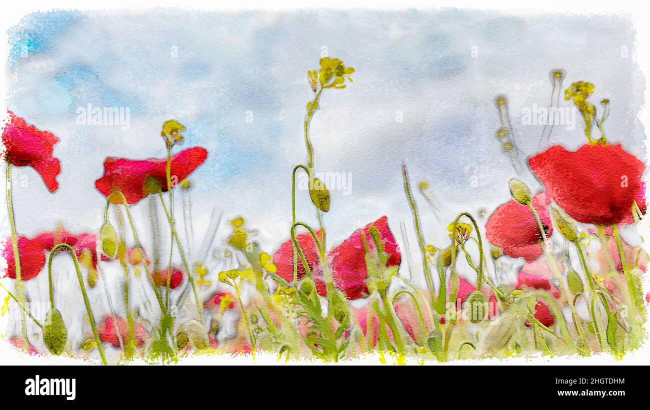Campo di papaveri rossi con verde e giallo contrastanti del campo in acquerello digitale Foto Stock
