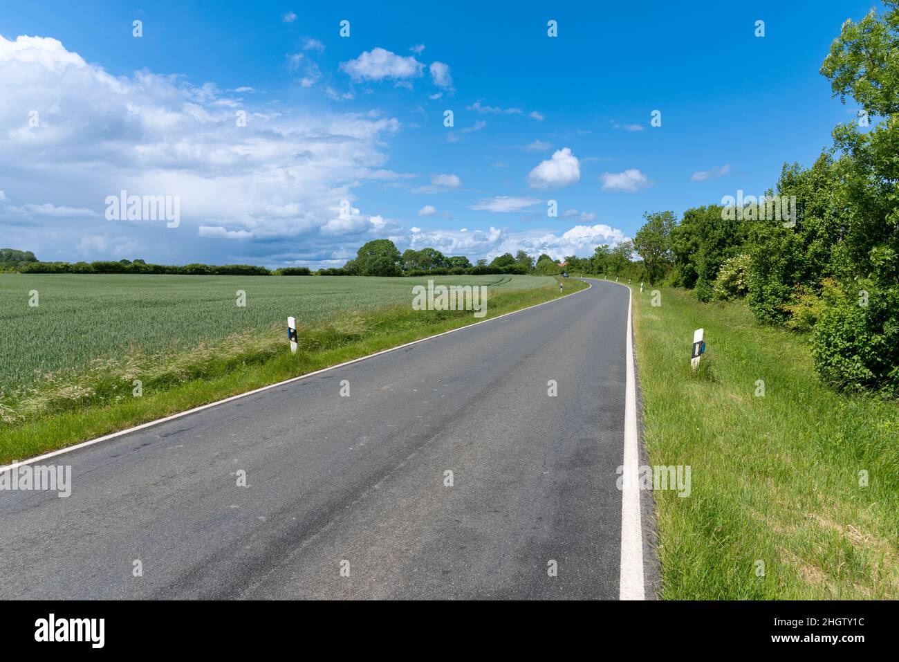 Landstraße im Frühling Foto Stock