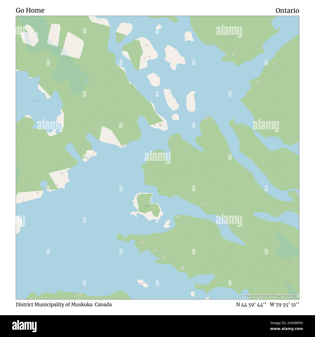 Go Home, District Municipality of Muskoka, Canada, Ontario, N 44 59' 44'', W 79 55' 51''', mappa, mappa senza tempo pubblicata nel 2021. Viaggiatori, esploratori e avventurieri come Florence Nightingale, David Livingstone, Ernest Shackleton, Lewis and Clark e Sherlock Holmes si sono affidati alle mappe per pianificare i viaggi verso gli angoli più remoti del mondo, Timeless Maps sta mappando la maggior parte delle località del mondo, mostrando il successo di grandi sogni Foto Stock