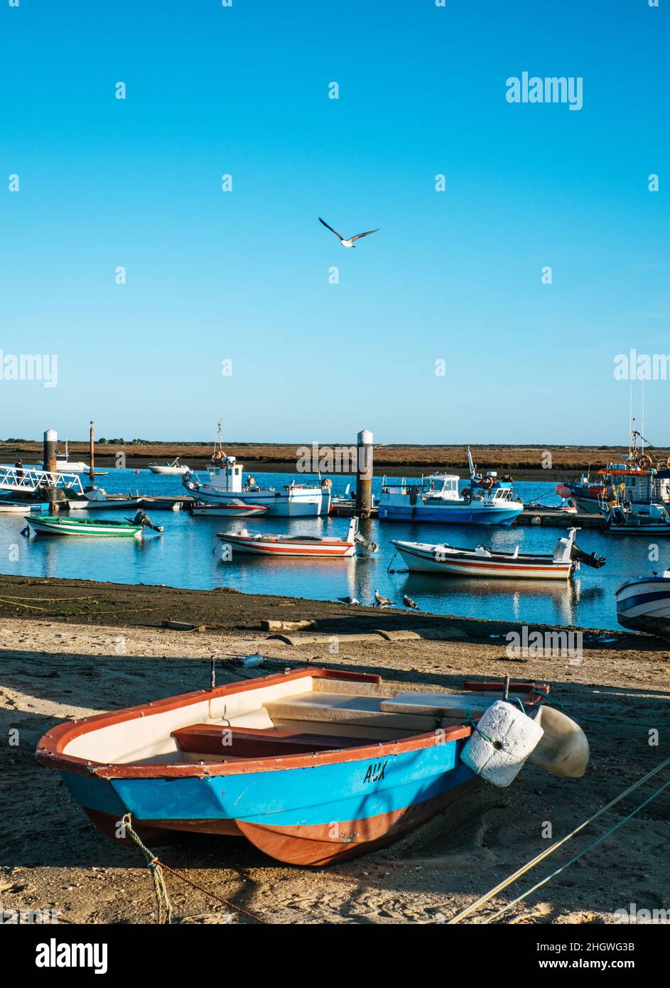 Barche da pesca e vela alla Laguna di Ria Formosa a Tavira, Portogallo Foto Stock