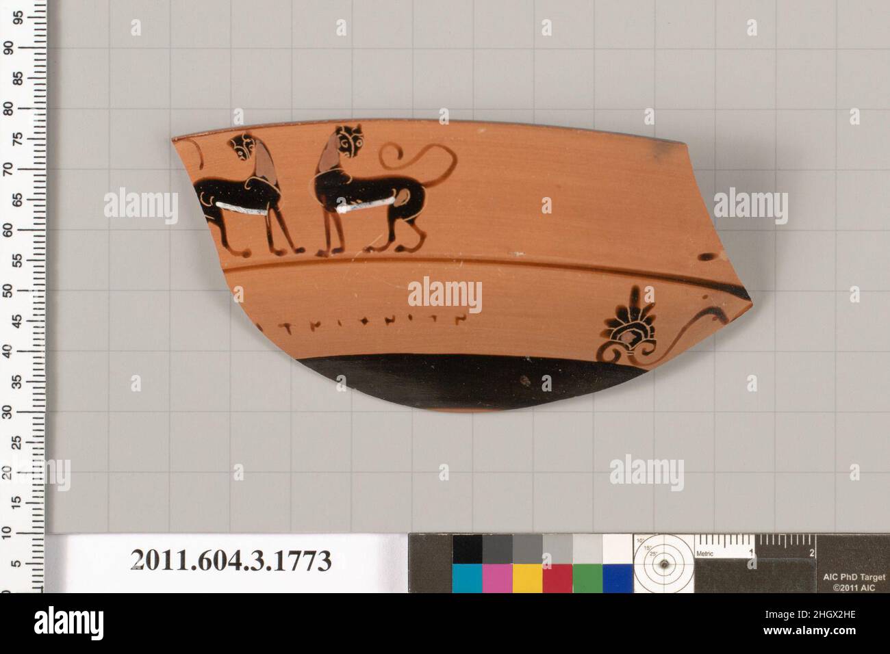 Frammento del bordo di terracotta di una kylix: Tazza del labbro (tazza da bere) 560–550 a.C. Greco, esterno Attico, due pantere che si confrontano; sotto, nella zona del manico, lettere e un palmette con un tendril. Frammento del bordo di terracotta di una kylix: Tazza del labbro (tazza da bere). Greco, Attico. 560–550 A.C. Terracotta; figura nera. Arcaico. Vasi Foto Stock