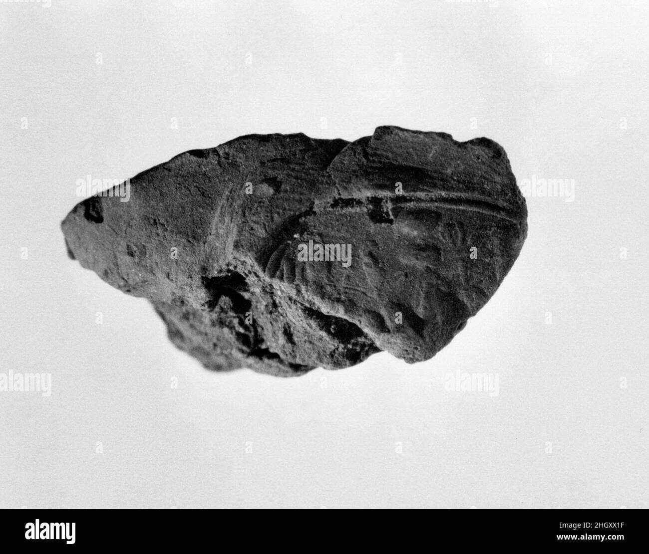 Sigillo del documento con il nome del trono di Amenhotep III ca. 1390–1353 a.C. nuovo Regno. Sigillo del documento con il nome del trono di Amenhotep III ca. 1390–1353 A.C. Fango. Nuovo Regno. Dall'Egitto, dall'Egitto superiore, da Tebe, da Malqata, da Ville Occidentali, West Villa B, scavi MMA, 1910–12. Dynasty 18 Foto Stock