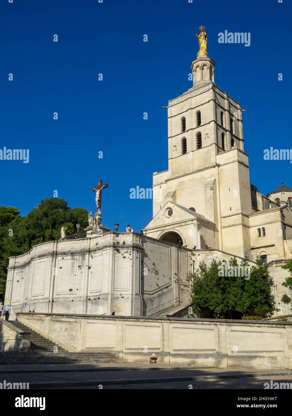 Cattedrale di Avignone Foto Stock