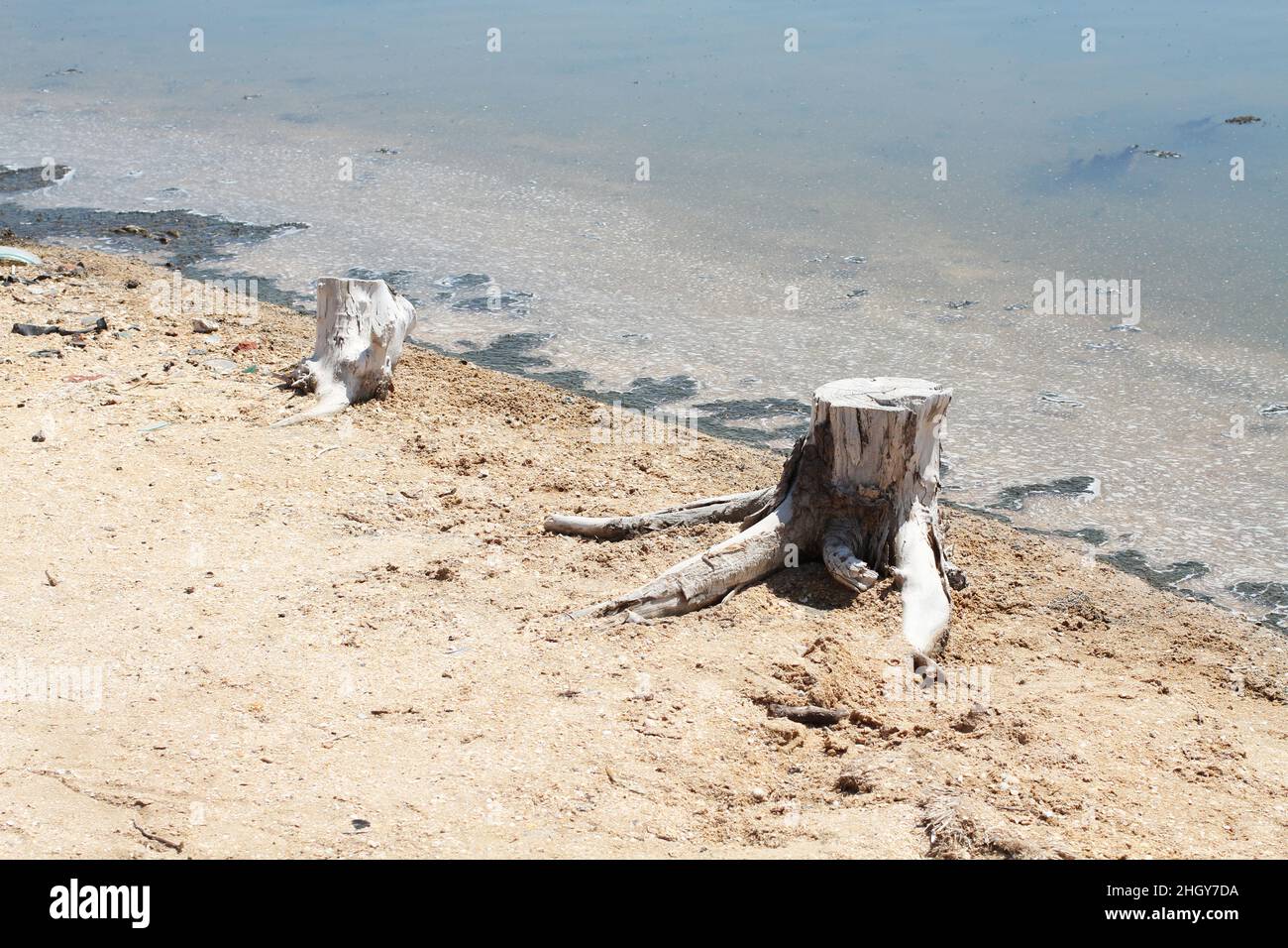 Territorio non pulito dal retro del campeggio sulla costa dello Spit Arabat nel Mare di Azov. Agosto 2018. Foto Stock