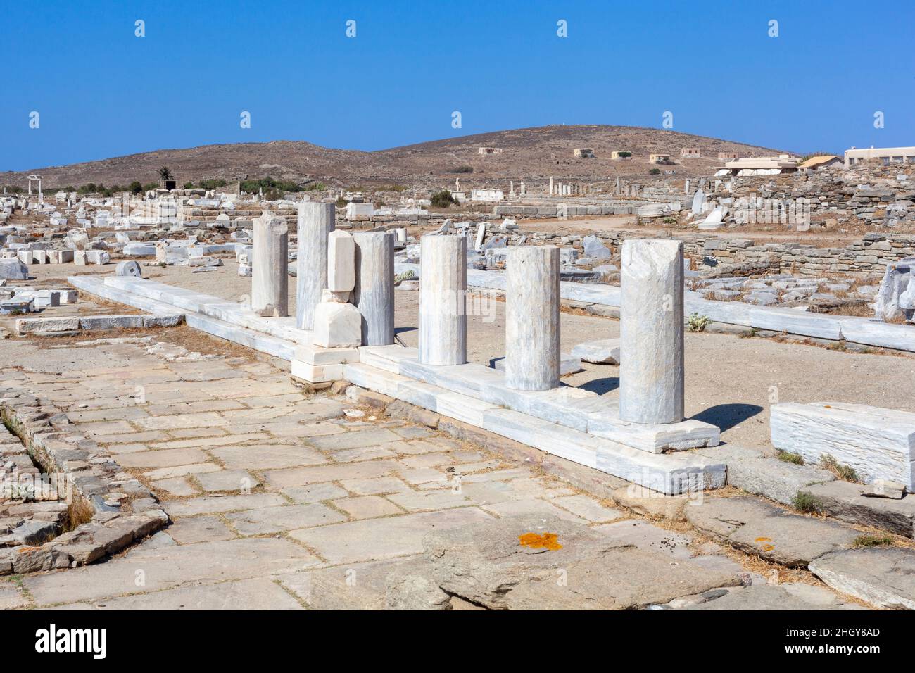 Antiche colonne cittadine sull'isola di Delos in Grecia Foto Stock