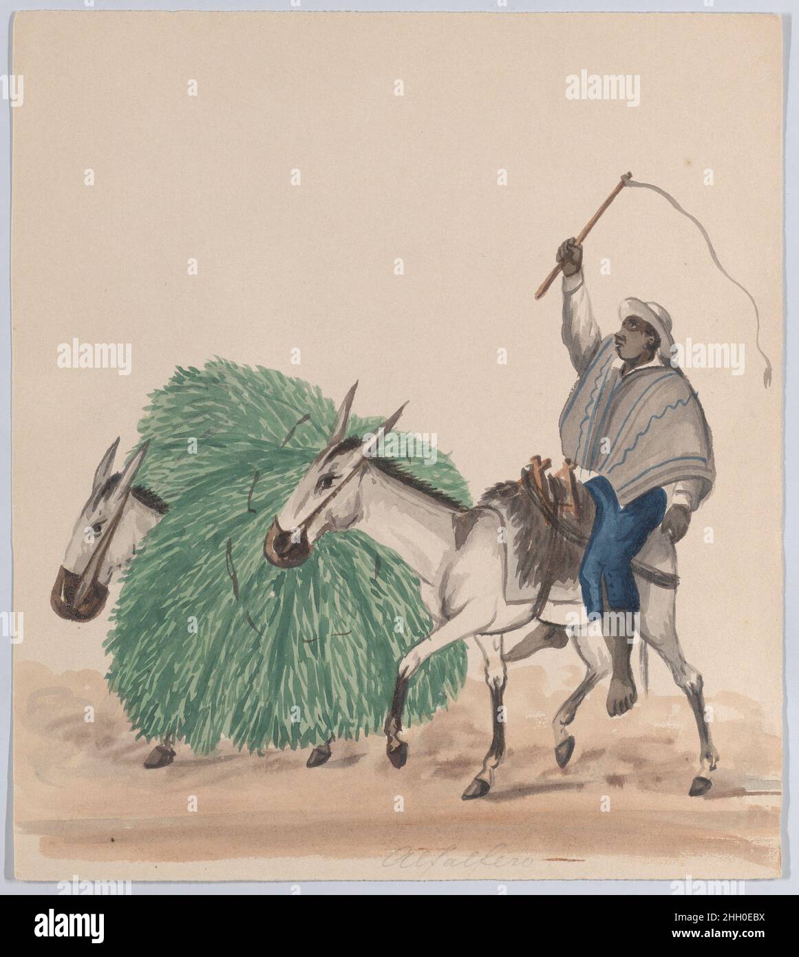 Un uomo che cavalcava una mulo, la sua frusta sollevata, un'altra mulo carica di erba accanto, da un gruppo di disegni raffiguranti il costume peruviano ca. 1848 attribuito a Francisco (Pancho) Fierro da un gruppo di 37 disegni (acquerelli) che raffigurano costumi e costumi peruviani. Il tipo (costumbrismo) è stato stabilito da Francisco (Pancho) Fierro, un artista peruviano di origine africana che ha creato oltre 1000 tali opere, la cui popolarità ha generato molti imitatori. La qualità del gruppo attuale suggerisce che potrebbero essere autografi e non il lavoro di un seguace. Molti sono datati 1848 e Lima ha registrato un Foto Stock