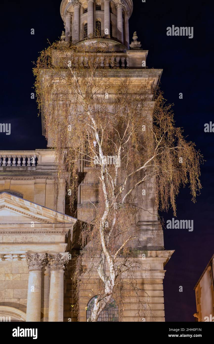Betulla d'argento e Chiesa di Ognissanti la mattina presto di gennaio. Oxford, Oxfordshire, Inghilterra Foto Stock