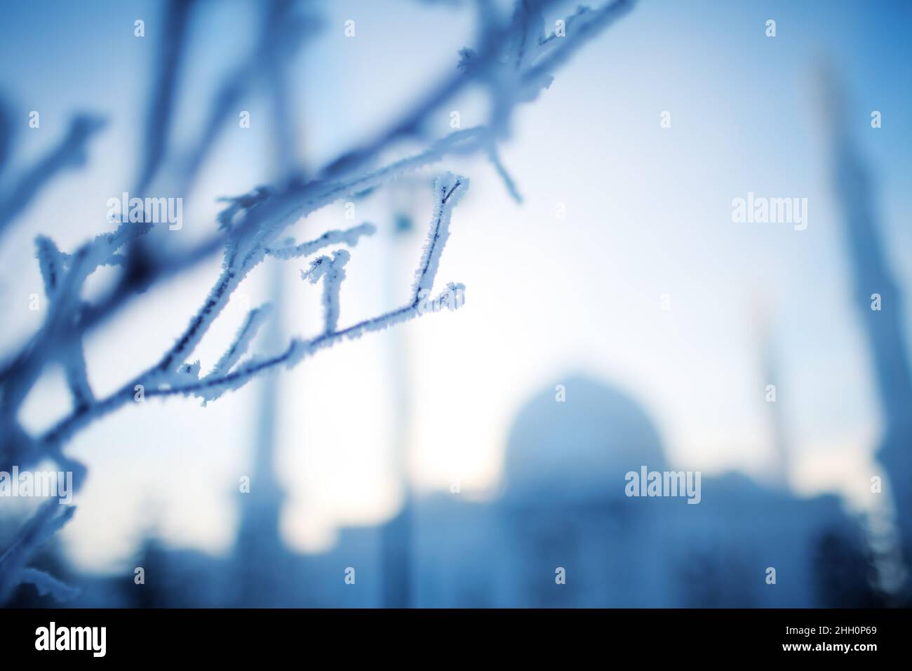 Albero coperto di rime sullo sfondo della moschea sfocata. Foto Stock