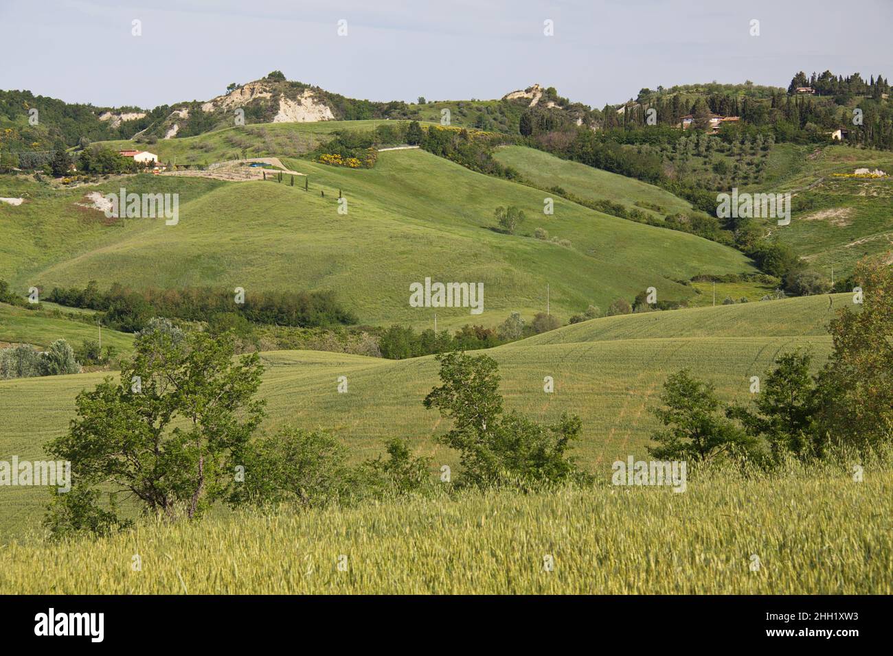 Paesaggio in provincia di Siena,Toscana,Italia,Europa Foto Stock