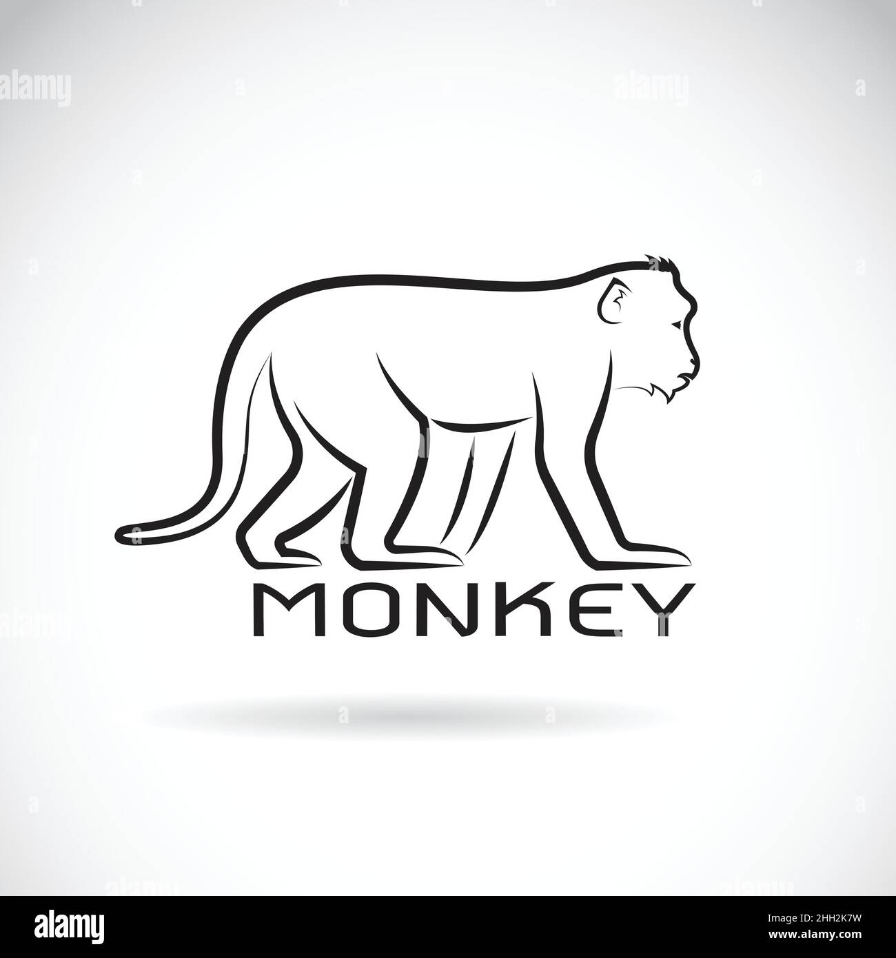 Vettore di una scimmia su sfondo bianco. Animale selvatico. Illustrazione vettoriale a livelli facilmente modificabile. Illustrazione Vettoriale