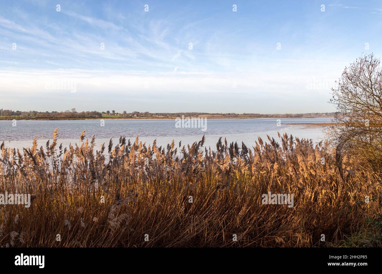 Ammira l'estuario del fiume Deben a monte con la bassa marea da Stonner Point, Suffolk, Inghilterra, Regno Unito Foto Stock