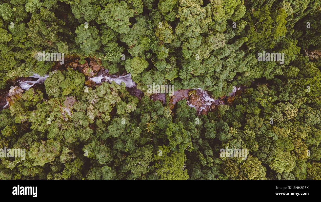 Cascata Clover Hill Trail nel Macquarie Pass National Park Foto Stock