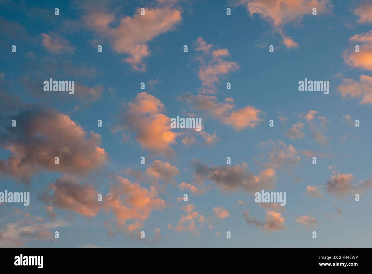 rilassante cielo nuvoloso all'alba con formazione di nubi di cumulo rosa di colore bianco e nero in un cielo blu pastello. Immagine di sfondo del tramonto o dell'alba Foto Stock