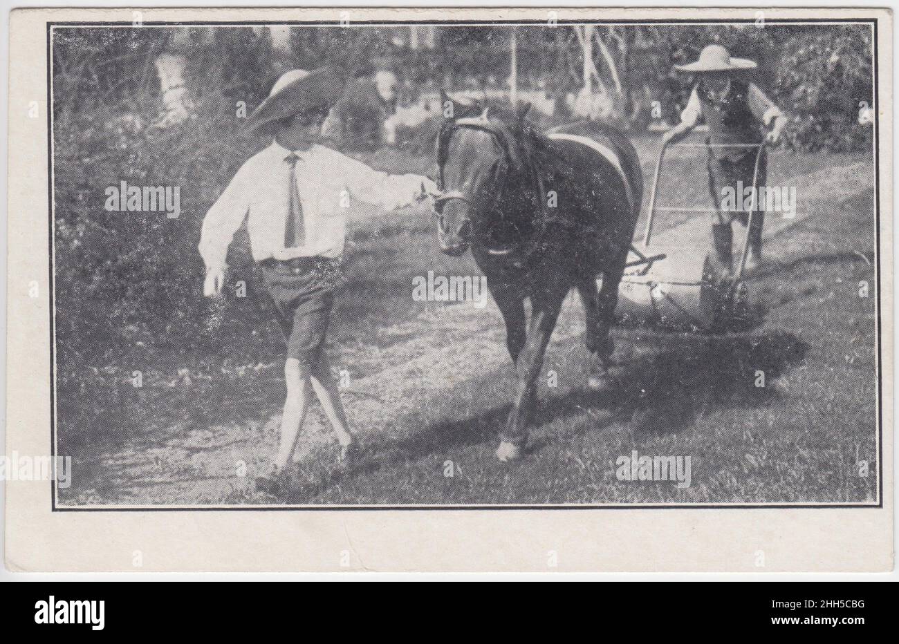 Casa dei bambini nazionali e orfanotrofio, falciando il prato al Children's Sanatorium, Harpenden, Hertfordshire, inizio 20th secolo. Bambini che utilizzano un rasaerba trainato da cavalli Foto Stock