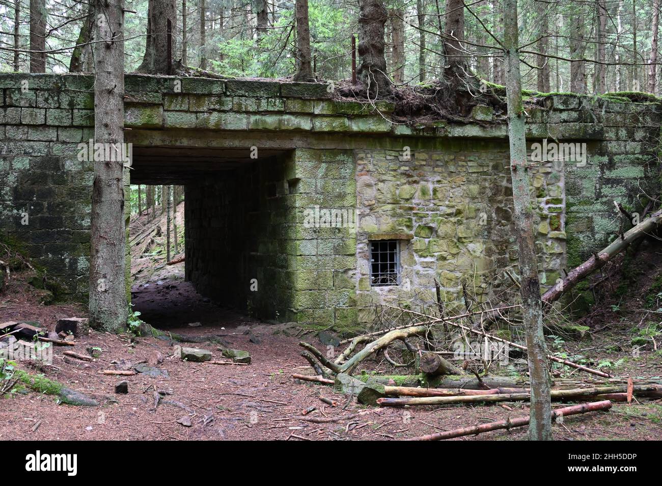 Struttura a ponte nella parte disutilizzata della cava di arenaria sul Bückeberg di Schaumburg Foto Stock