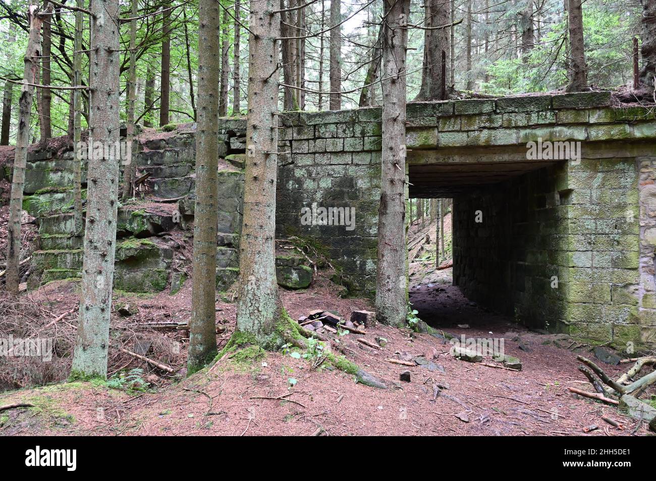 Struttura a ponte nella parte disutilizzata della cava di arenaria sul Bückeberg di Schaumburg Foto Stock