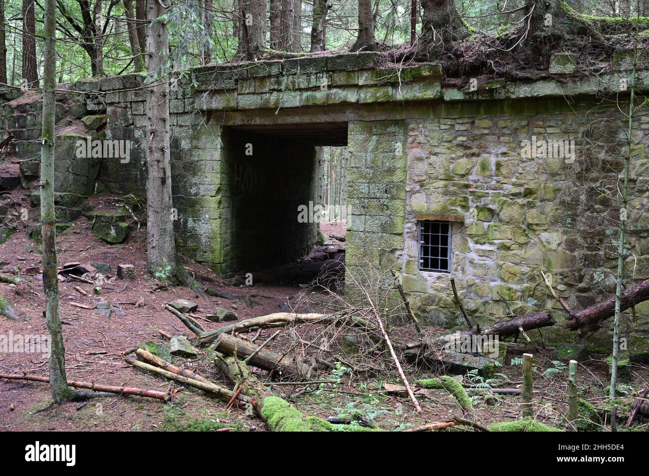 Struttura a ponte nella parte disutilizzata della cava di arenaria sul Bückeberg di Schaumburg Foto Stock