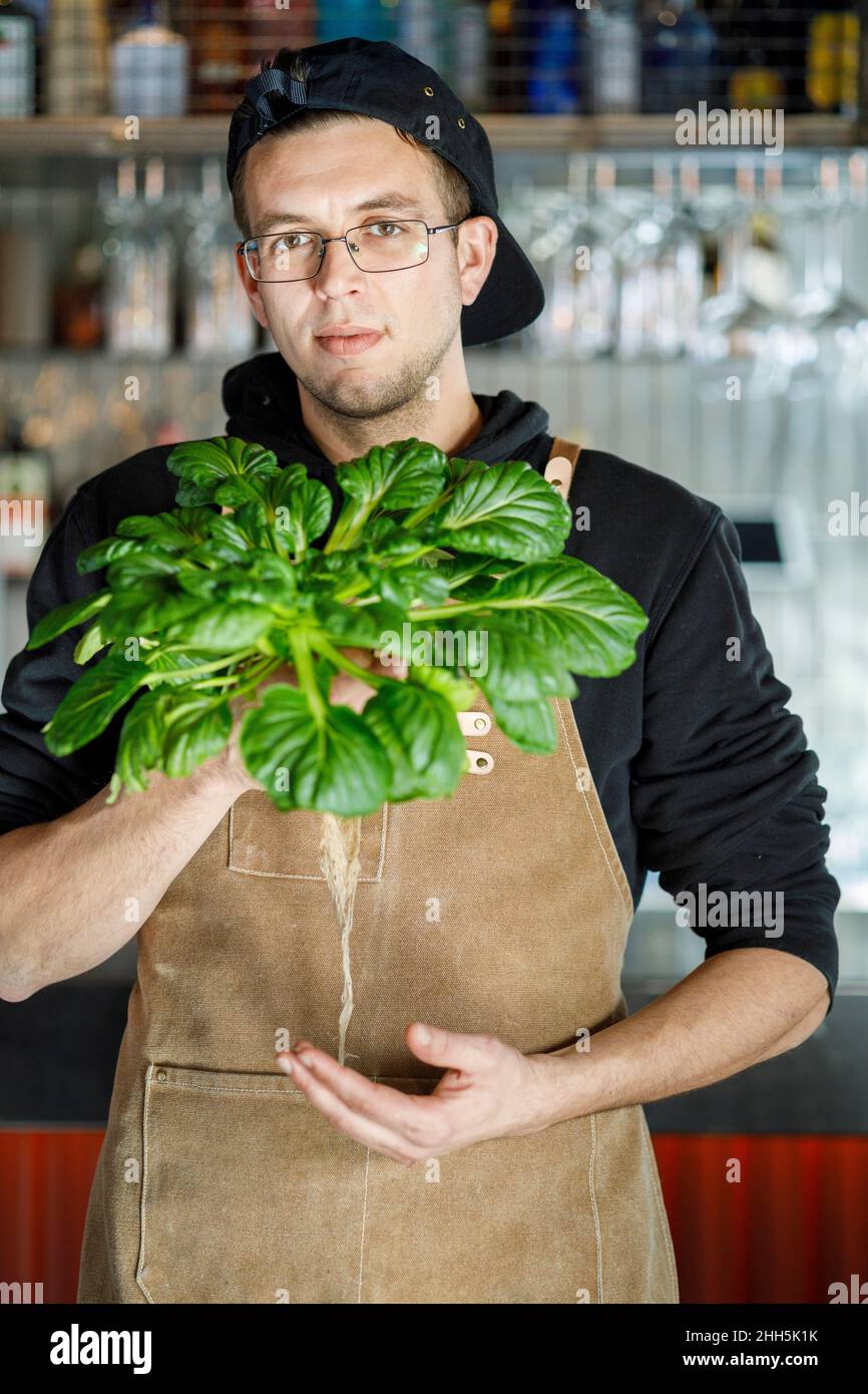 Chef che tiene piante di verdure fresche nel ristorante Foto Stock