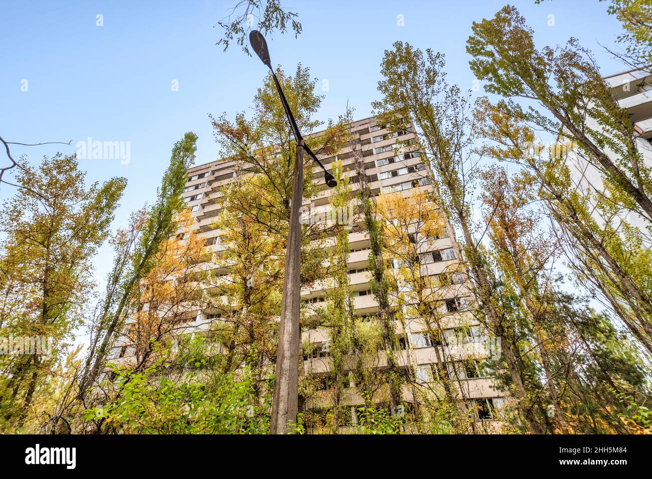 Ucraina, Kiev Oblast, Chernobyl, Flora sorpasso città abbandonata Foto Stock