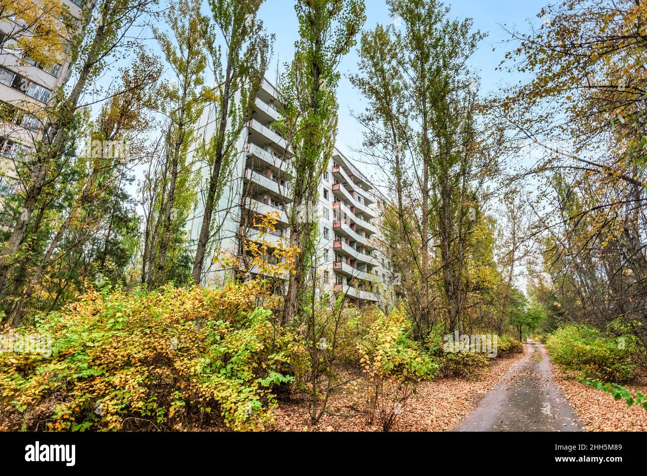 Ucraina, Kiev Oblast, Chernobyl, Flora sorpasso città abbandonata Foto Stock
