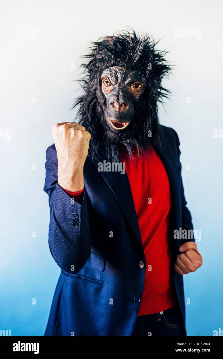 Uomo in vestito e con una maschera di gorilla Foto stock - Alamy