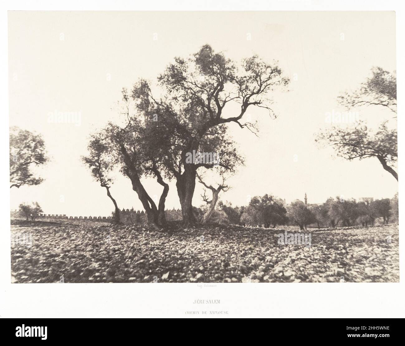 Jérusalem, Chemin de Naplouse 1854 Auguste Salzmann gli ulivi francesi, situati in posizione centrale, si estendono verso un cielo vuoto, mentre il terreno roccioso conduce ad un muro di pietra che segna la spaccatura tra cielo e terra. Questo pittoresco paesaggio ricorda i precedenti sforzi di Salzmann come pittore; alla fine del 1840s e all'inizio del 1850s, espone vedute idilliache dell'Italia e della Francia nei saloni ufficiali. Era stato influenzato dalla Barbizon School, un gruppo di artisti dedicati ad elevare il genere della pittura paesaggistica in Francia. Qui fa riferimento anche al suo istruttore fotografico, l'arte eminente Foto Stock