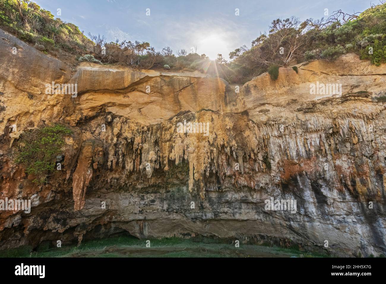 Australia, Victoria, stalattiti appesi all'interno della grotta esposta nel Parco Nazionale di Port Campbell Foto Stock