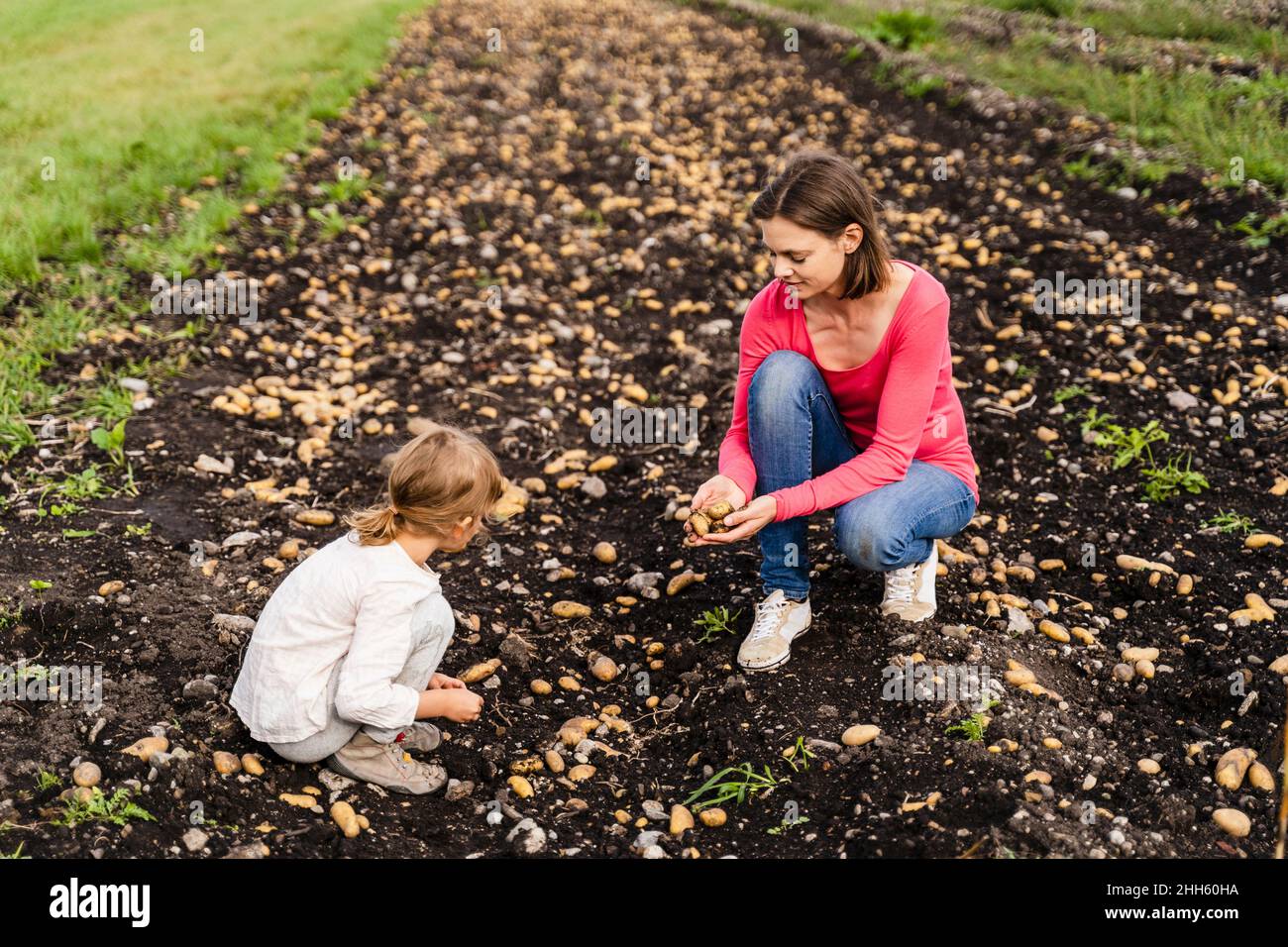 Madre e figlia che raccolgono patate in campo Foto Stock