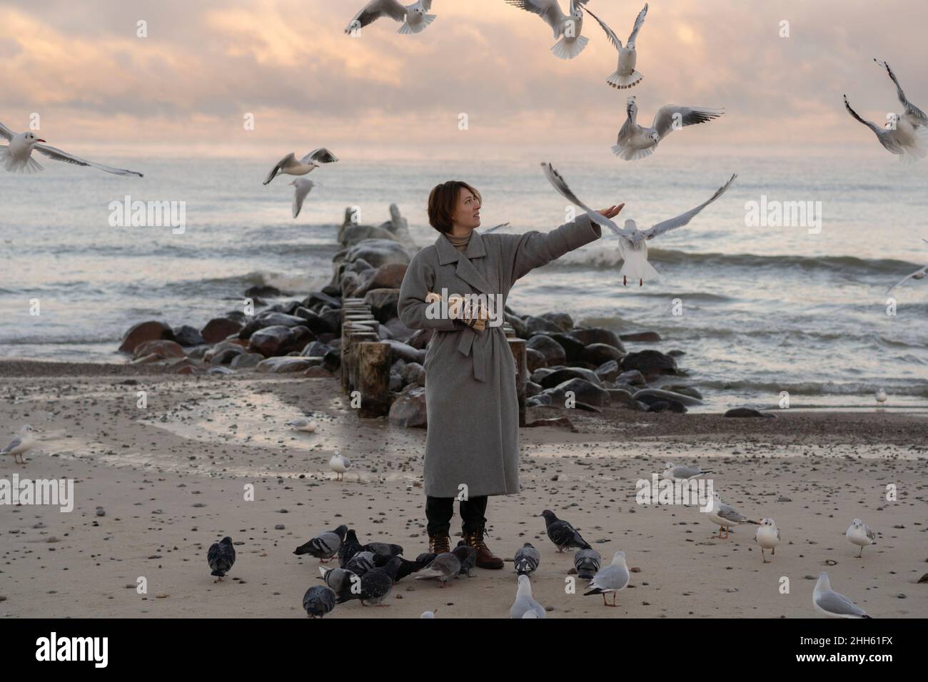 Donna che allatta i gabbiani e i piccioni al tramonto Foto Stock