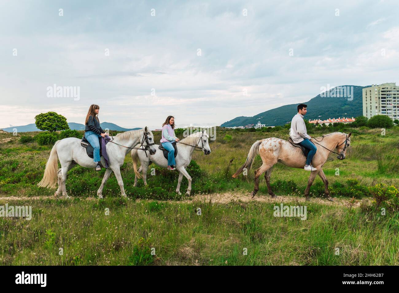 Giovani amici che cavalcano i cavalli sull'erba Foto Stock
