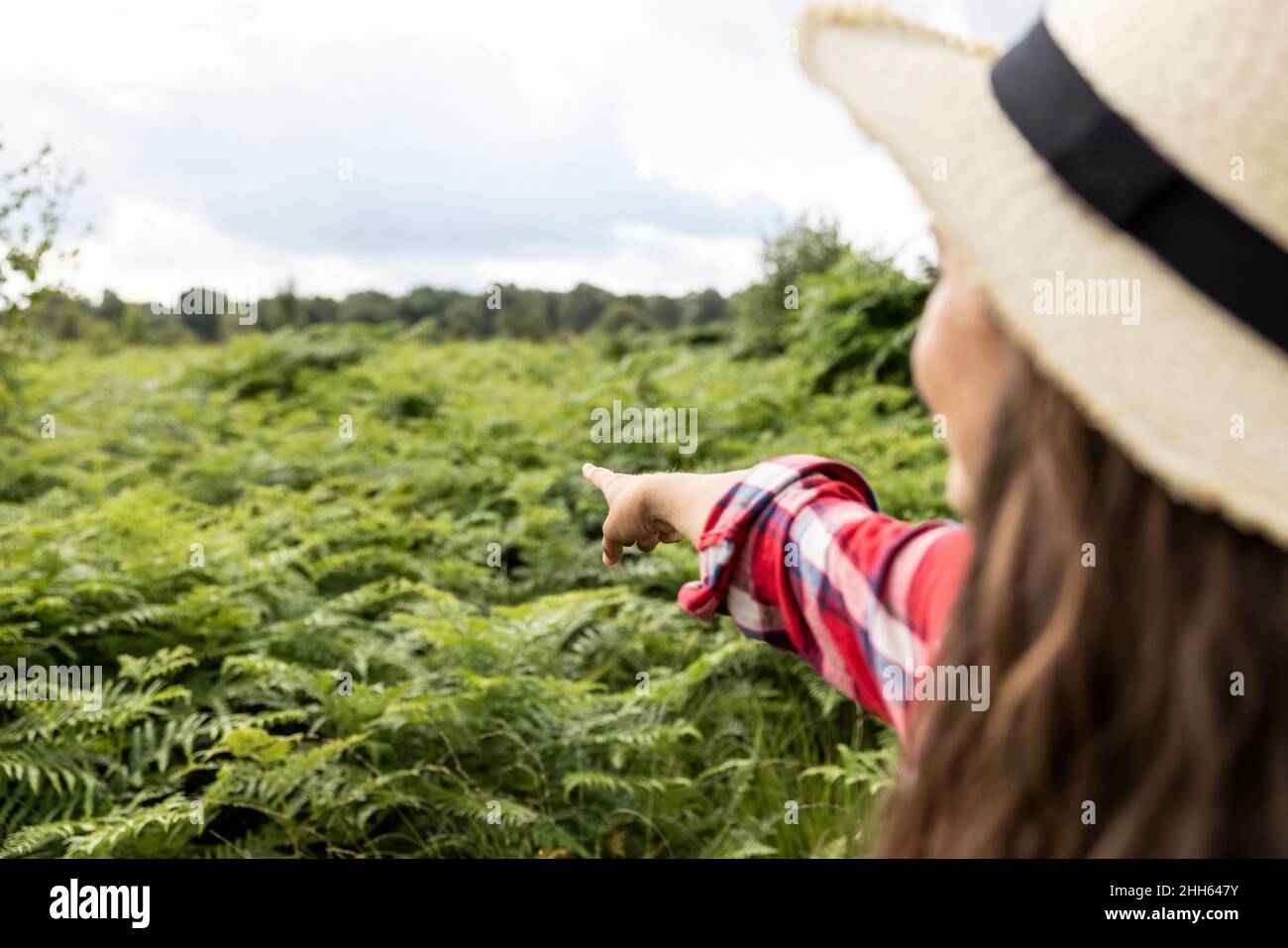 Donna con cappello che punta a piante verdi in Cannock Chase Foto Stock