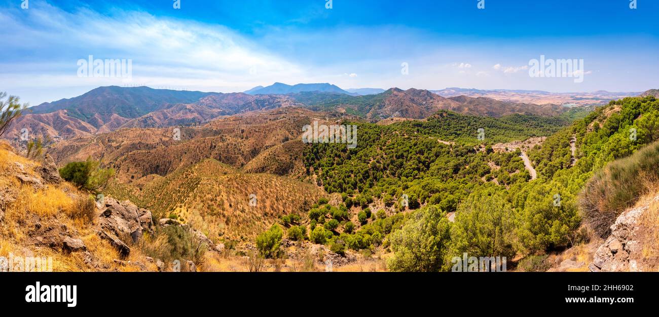 Valle andalusa in campagna in giornata di sole in Andalusia, Spagna, Europa Foto Stock