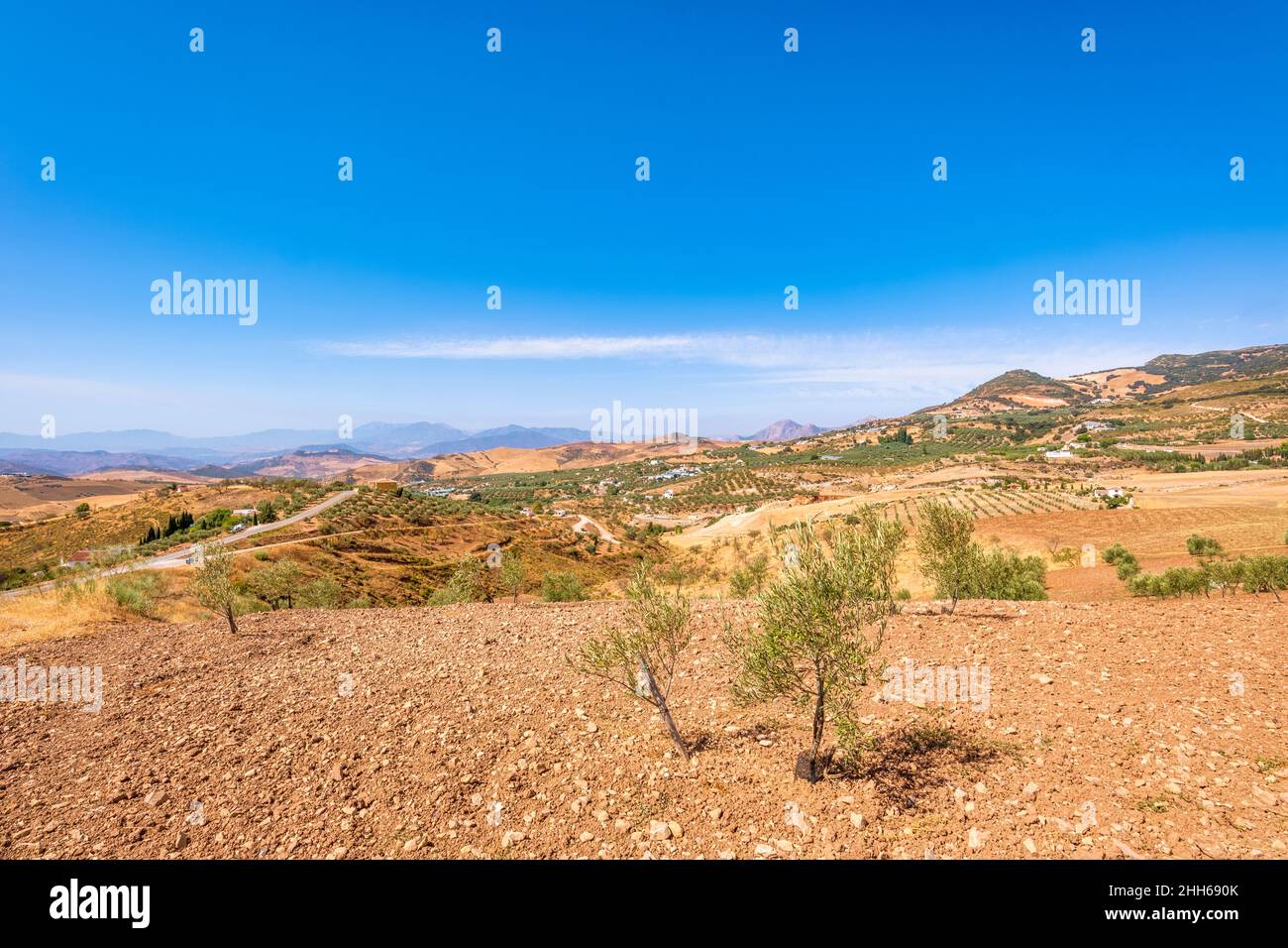 Paesaggio remoto a la Joya in giorno di sole, Andalusia, Spagna, Europa Foto Stock