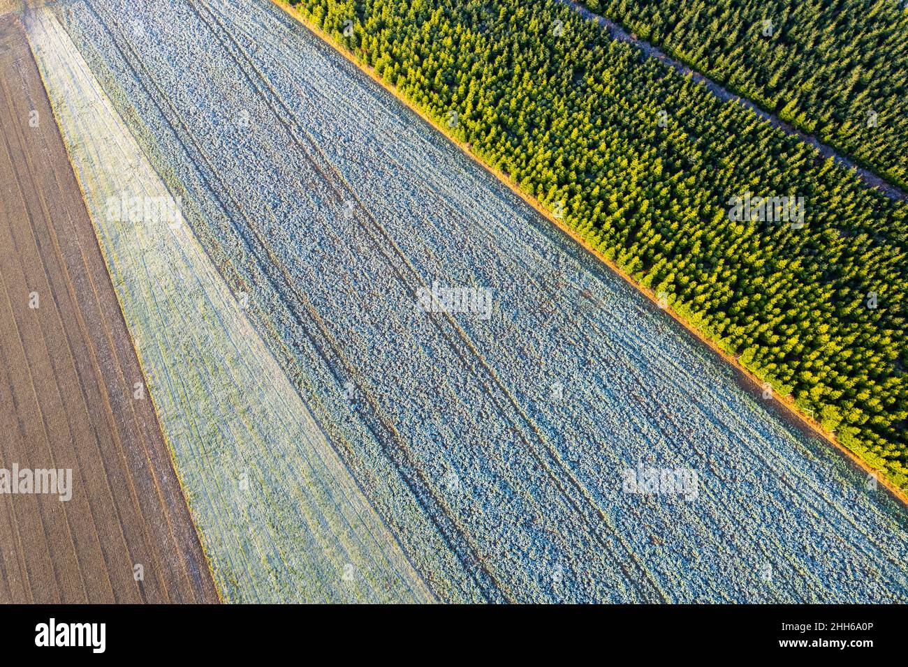 Vista con droni dei campi arati a Remstal Foto Stock