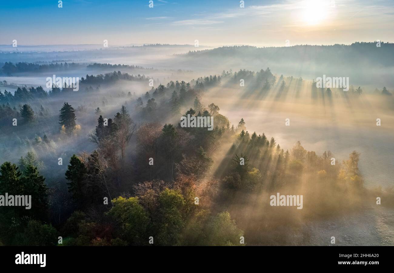 Vista con droni del sole che sorge sulla nebbia protetta Welzheim Forest Foto Stock