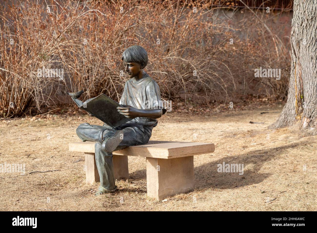 Littleton, Colorado - una scultura di un ragazzo che legge un grande libro fuori dal Museo Littleton. La scultura è "Life's Lezioni" di George W. Lundeen. Foto Stock