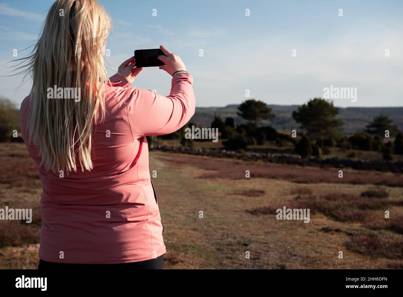 Il viaggiatore da solo fotografa il paesaggio con il cellulare. Donna con capelli biondi e giacca a vento rosa a Skåne, Svezia Foto Stock