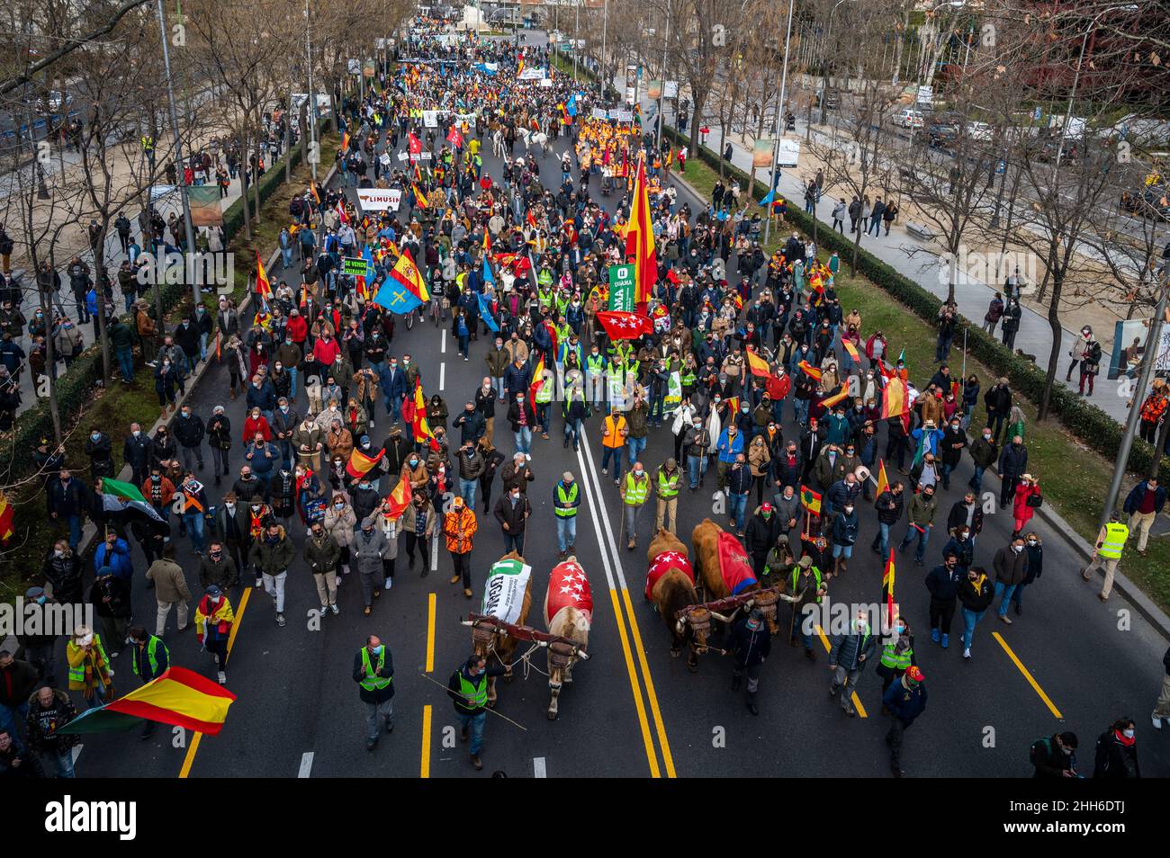 Madrid, Spagna. 23rd Jan 2022. I manifestanti si vedono durante una manifestazione in difesa delle campagne e del mondo rurale, alla quale hanno partecipato migliaia di agricoltori provenienti da tutto il paese. L'associazione "Alma Rural” ha chiesto di protestare sotto lo slogan "Grande dimostrazione del mondo rurale” in risposta alla situazione subita dal settore primario, chiedendo cambiamenti nelle politiche agricole, zootecniche e ambientali. Credit: Marcos del Maio/Alamy Live News Foto Stock