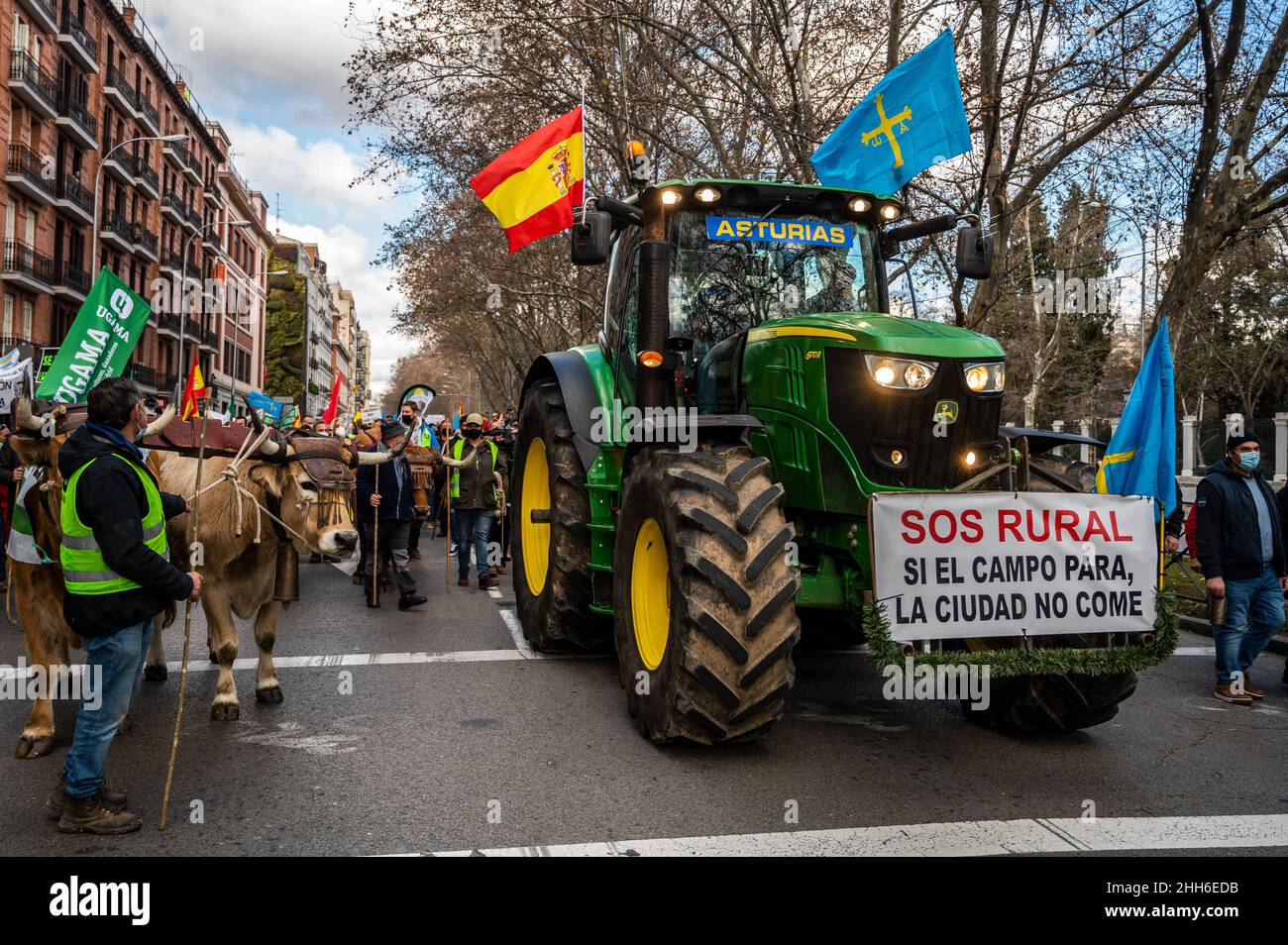 Madrid, Spagna. 23rd Jan 2022. Un trattore che porta un cartello che dice "se la campagna si ferma, la città non mangia" è visto durante una dimostrazione in difesa della campagna e del mondo rurale, a cui hanno partecipato migliaia di agricoltori provenienti da tutto il paese. L'associazione "Alma Rural” ha chiesto di protestare sotto lo slogan "Grande dimostrazione del mondo rurale” in risposta alla situazione subita dal settore primario, chiedendo cambiamenti nelle politiche agricole, zootecniche e ambientali. Credit: Marcos del Maio/Alamy Live News Foto Stock