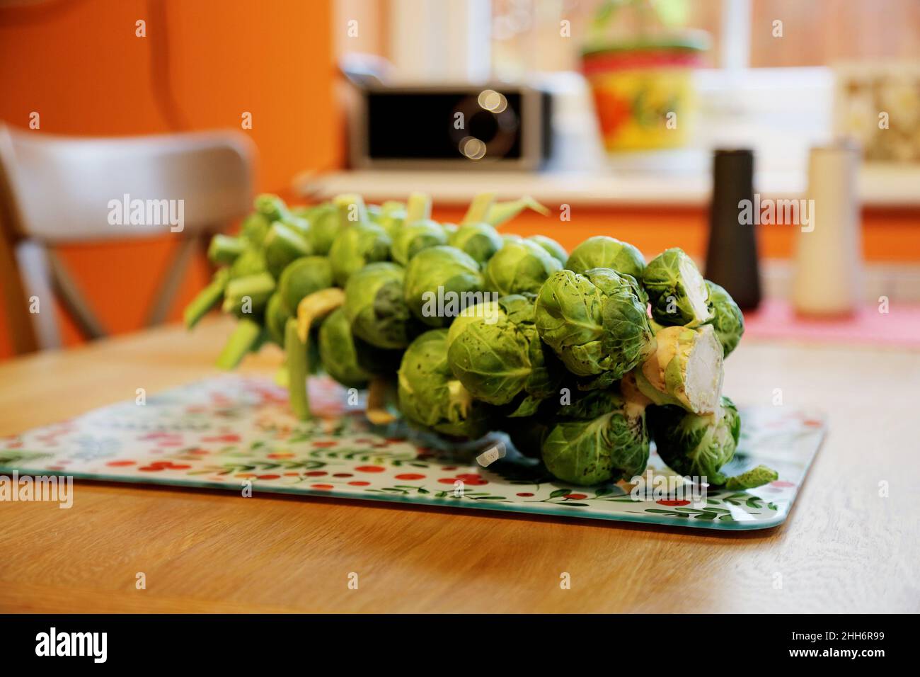 Un gambo di germogli di Bruxelles pronti per la preparazione alla cottura giace su un piano di lavoro/tavolo da cucina accanto ad un coltello affilato Foto Stock