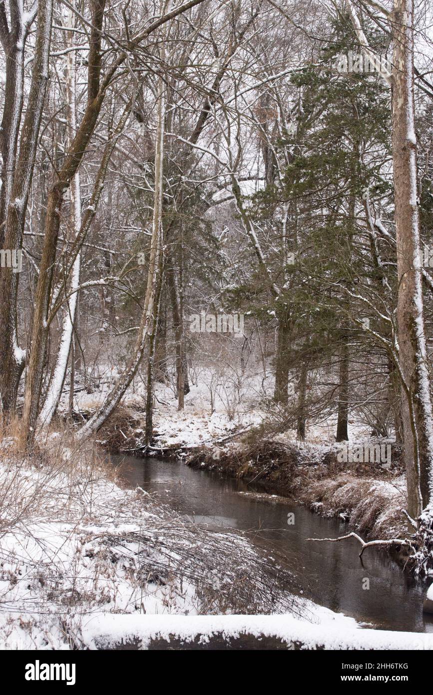 Coperta di neve creek Foto Stock