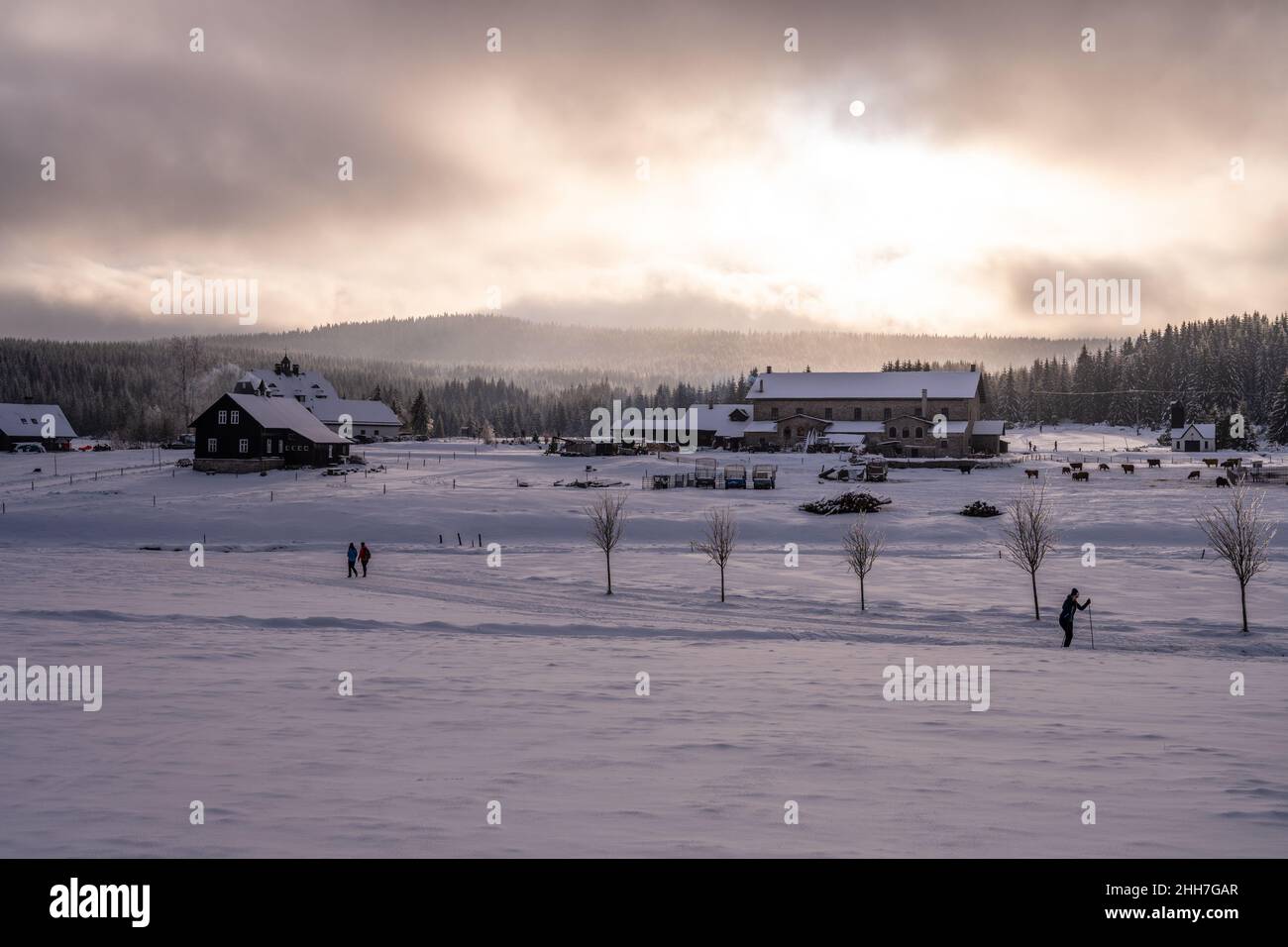 Paesaggio invernale dei Monti Jizera Foto Stock