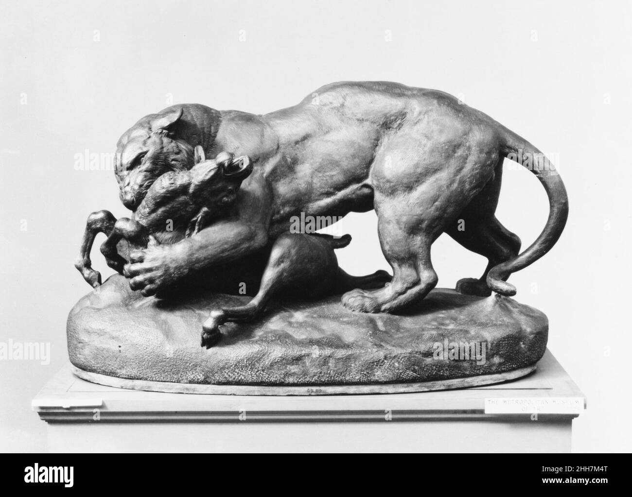 Tiger che attacca un'antilope 19th secolo Antoine-Louis Barye francese. Tiger che attacca un'antilope 191125 Foto Stock Tiger che attacca un'antilope 19th secolo Antoine-Louis Barye francese. Tiger che attacca un'antilope 191125 Foto Stock