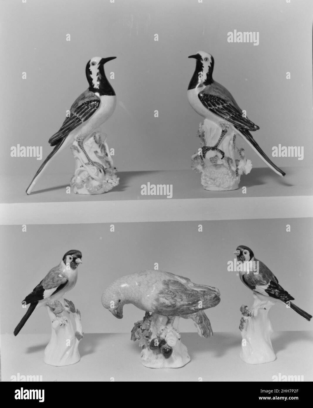Wagtail (uno di un paio) 1733 Meissen Manufactory gli uccelli in porcellana tedesca hanno le loro origini nella tradizione principesca di mantenere collezioni di animali vivi e uccelli in menagerie e aviari, che sono stati visti come microcosmi dell'universo, e emblemi del potere reale e illuminazione. Queste collezioni spesso comprendevano uccelli esotici come pappagalli, ammirati per la loro rarità, così come specie autoctone più familiari.nel 1731 la manifattura Meissen iniziò un nuovo genere di porcellana europea, producendo diverse centinaia di uccelli e animali in porcellana di dimensioni naturali e quasi vitali, molti destinati a t. Foto Stock