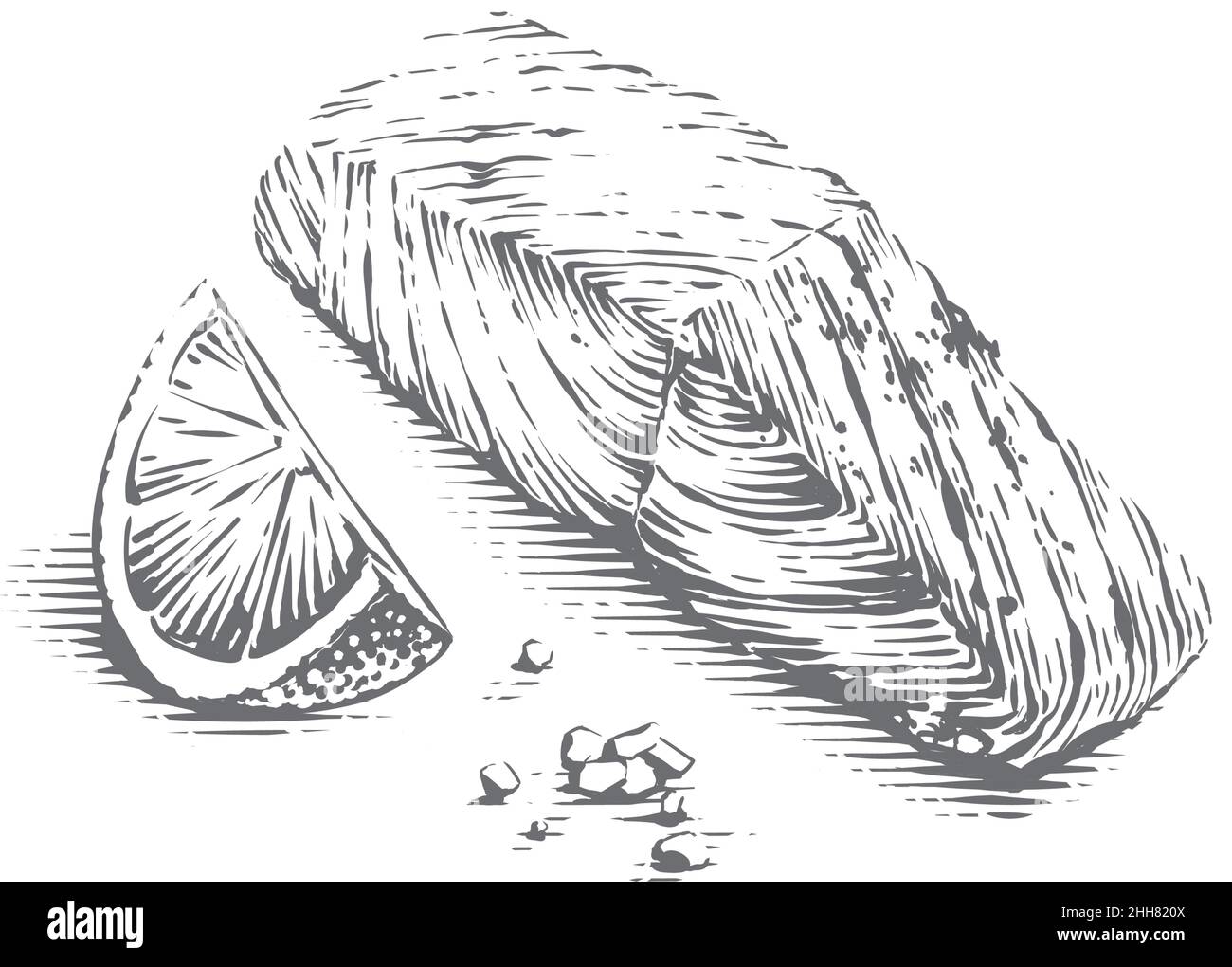 bistecca di pesce disegno a mano schizzo incisione stile illustrazione Illustrazione Vettoriale
